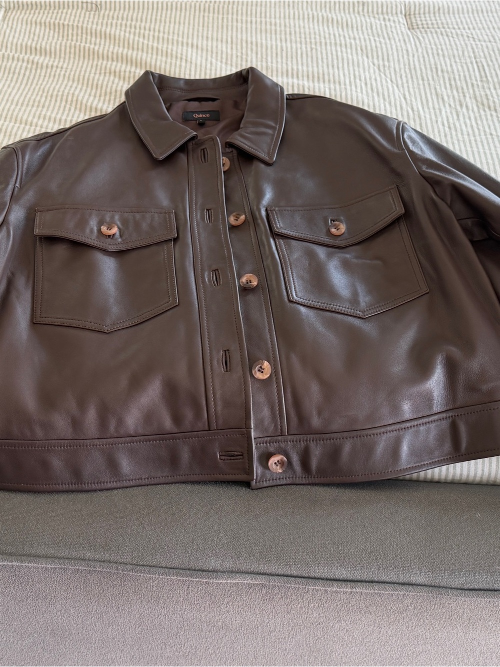 Quince Dark Brown Leather Button-Front Jacket